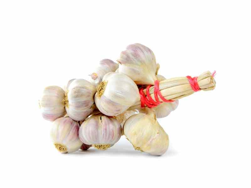 Unraveling the Secrets of Hardneck Garlic vs Softneck Garlic The Key